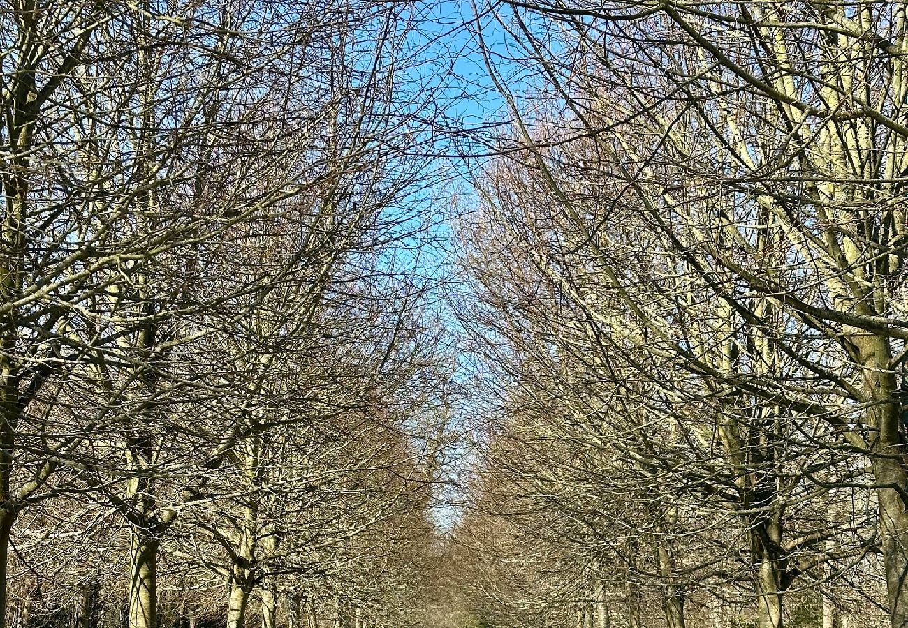 House in Varengeville-sur-Mer - HAMEAU Varengeville sur mer Centre bourg