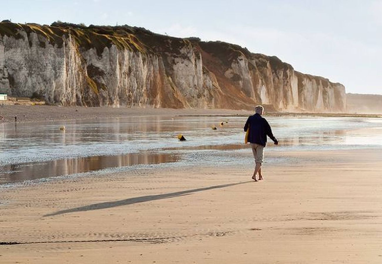 Résidence à Dieppe - CERFS VOLANTS Dieppe centre ville