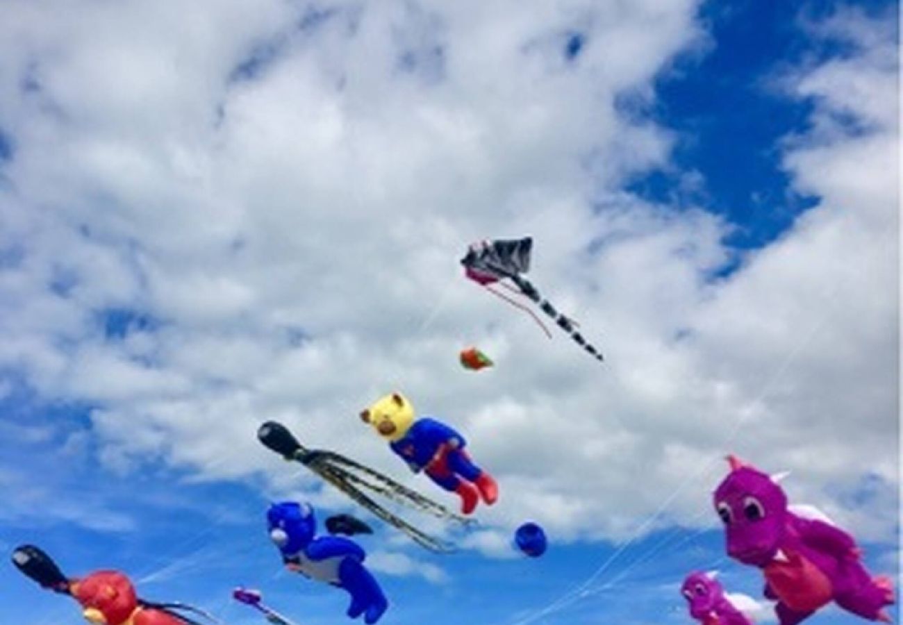 Résidence à Dieppe - CERFS VOLANTS Dieppe centre ville