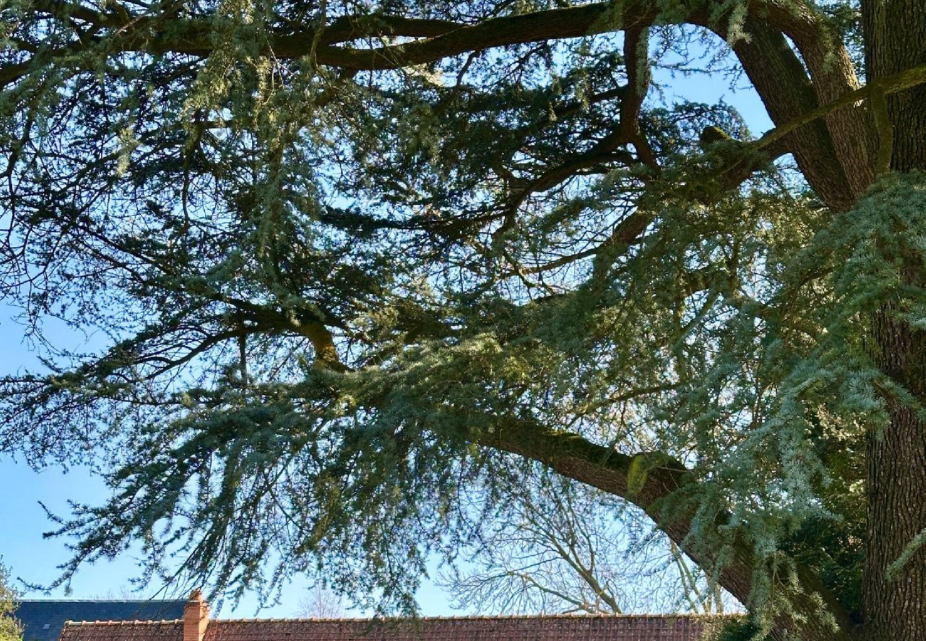 Maison à Varengeville-sur-Mer - HAMEAU Varengeville sur mer Centre bourg