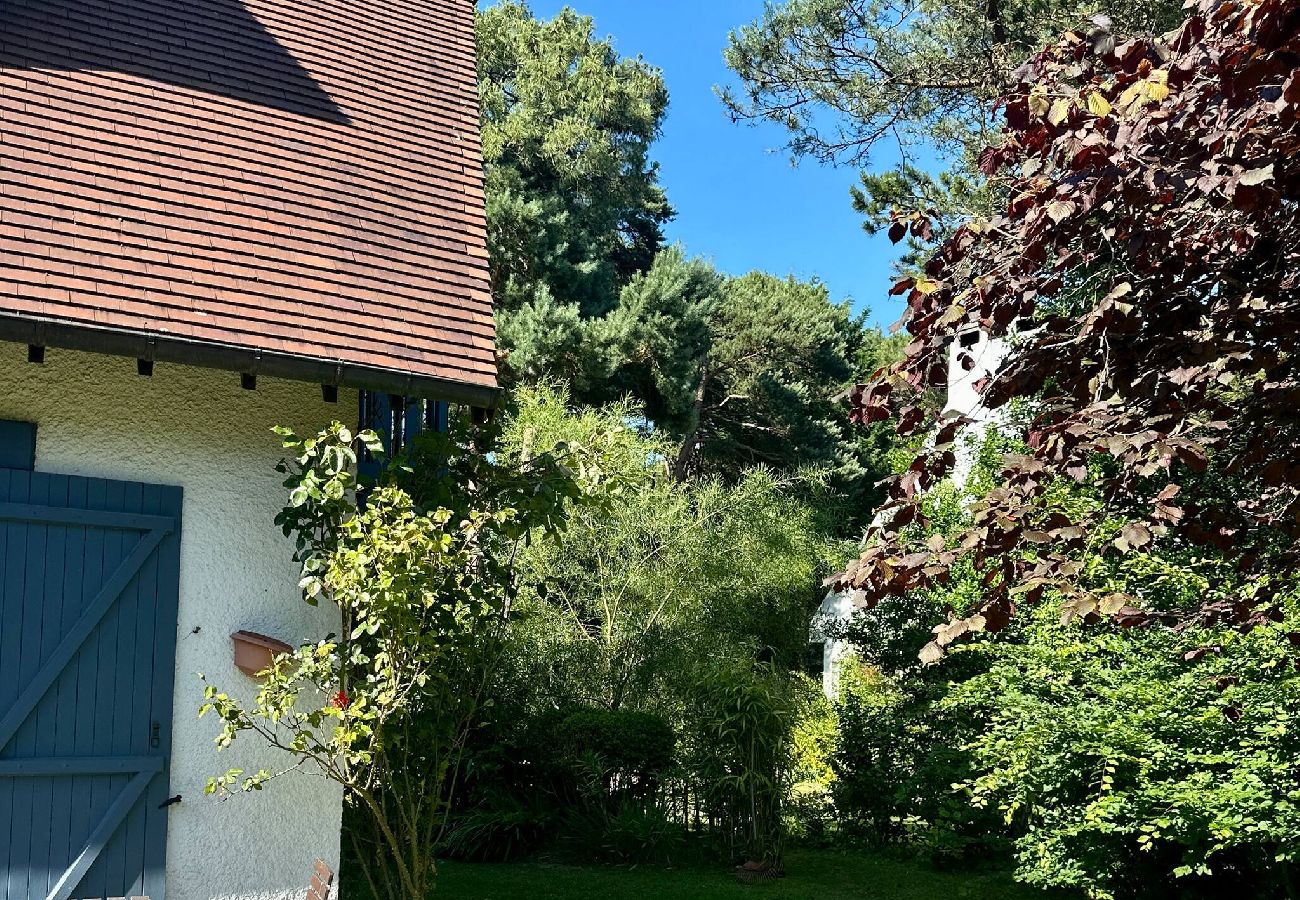 Maison à Sainte-Marguerite-sur-Mer - FALAISES DE L'AILLY Ste Marguerite sur mer Nature